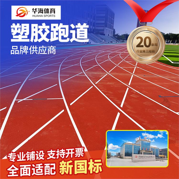 南阳市预制型跑道预制型橡胶跑道 - 厂家